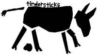 logo Tindersticks