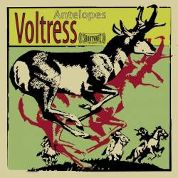 Voltress : Antelopes